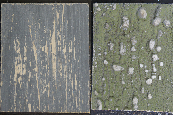 1460619242376047755.png 合成2.png