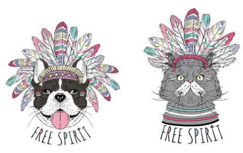 1460769189329083259.png 图片4.png