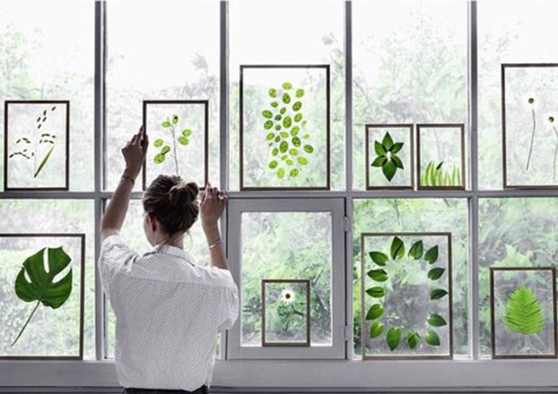 1481598878961007890.jpg 未标题-2.jpg