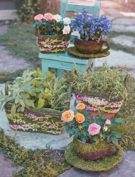 1500707476796022990.png 8.png