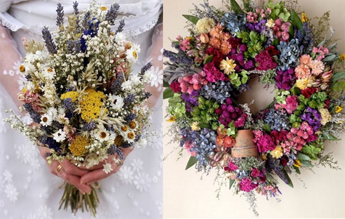 1501121607390019464.jpg 未标题-4.jpg