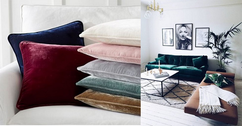 1501121837921054818.jpg 未标题-3.jpg