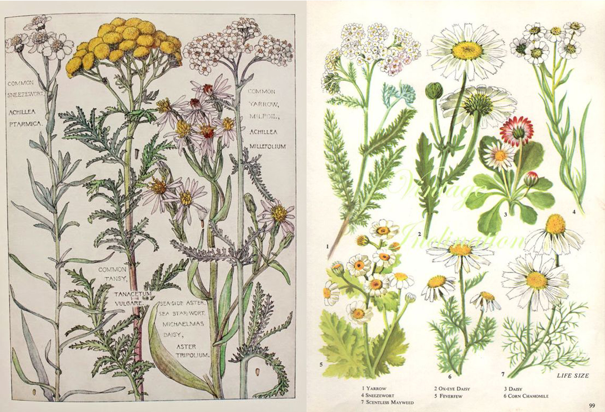 1501729784921056794.jpg 2.jpg