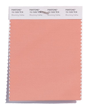 Pantone-Fashion-Color-Trend-Report-New-York-Spring-2018-Swatch-Blooming-Dahlia.jpg