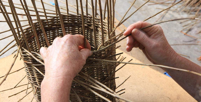 1506068827531001902.jpg timg2.jpg