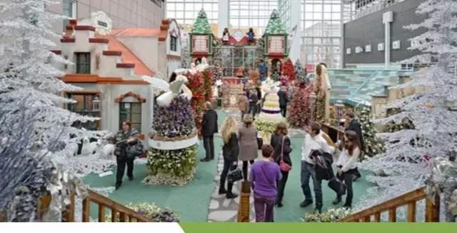 1510197225187030894.jpg 微信图片_20171109111026.jpg