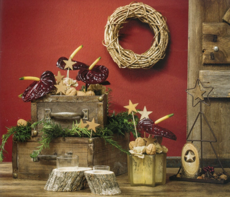 1510630440074018552.png 15.png