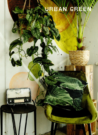 1510631319159098288.png 23.png