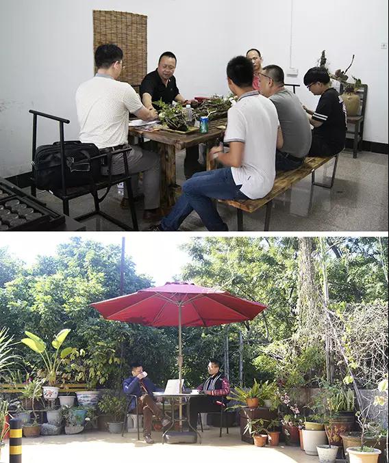 1510798472413014836.jpg 微信图片_20171116101459.jpg