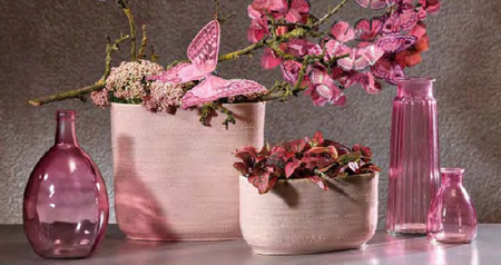 1513412377622044530.png 003.png