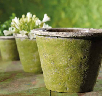 1513412589269074872.png 0016.png