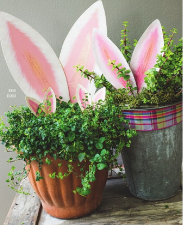 1514621449118020440.png 01.png