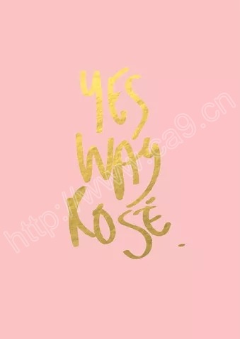 1515404557434050083.jpg jpeg.webp (6).jpg