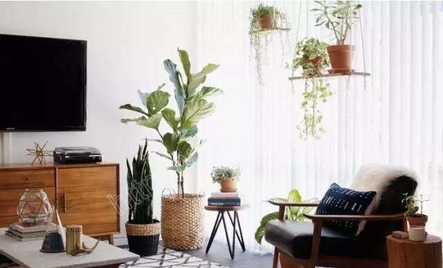 1515405193336082717.jpg QQ截图20180105102059.jpg