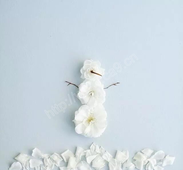 1515405526473044024.jpg QQ截图20180105095932.jpg