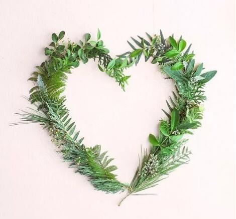 1515405541723092724.jpg QQ截图20180105100005.jpg