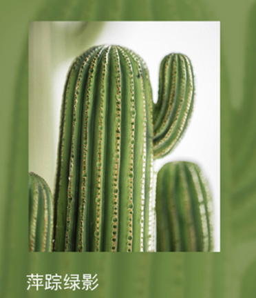 1516420893957044924.png 04.png