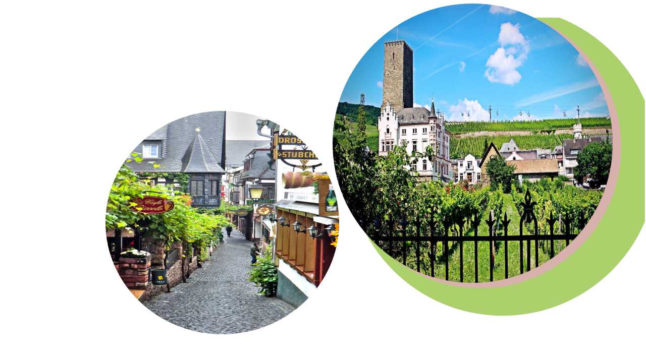 1523944561592099009.jpg 幻灯片10.jpg