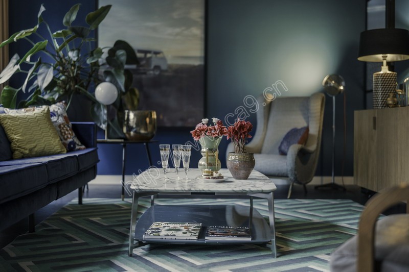 1532479790095036213.jpg EFSA-CURIOUS-COLLAGE-1_缩小大小.jpg