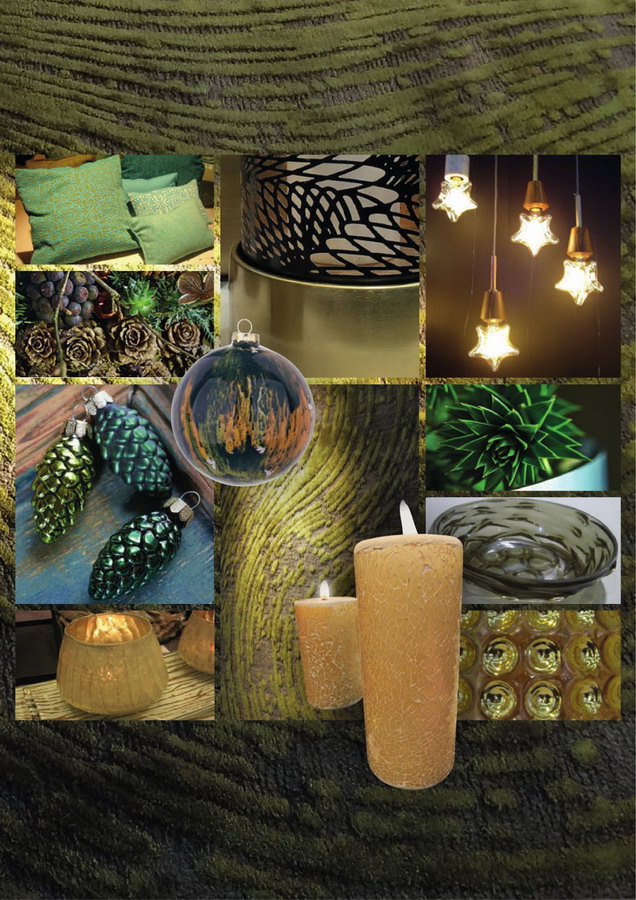 1535958497819054769.jpg 2vYAUQdpTv0004_缩小大小.jpg