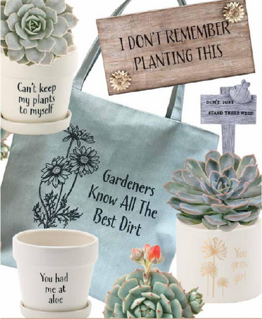 1536918577328098044.png 022.png