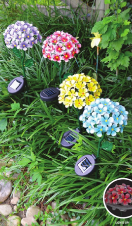 1536918655531060567.png 006.png