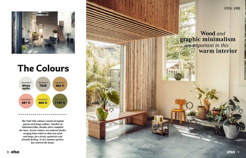 1542680478281095764.jpg 2019 EFSA0005.jpg