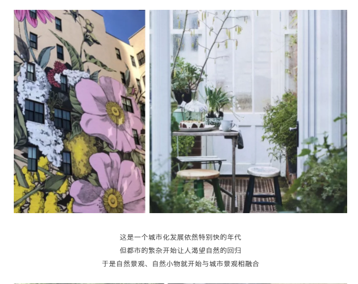 1543894559764004696.png image.png