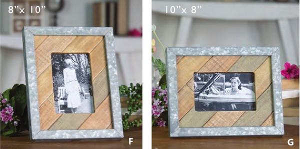 1546142143678020395.jpg 1544779534629030376.jpg