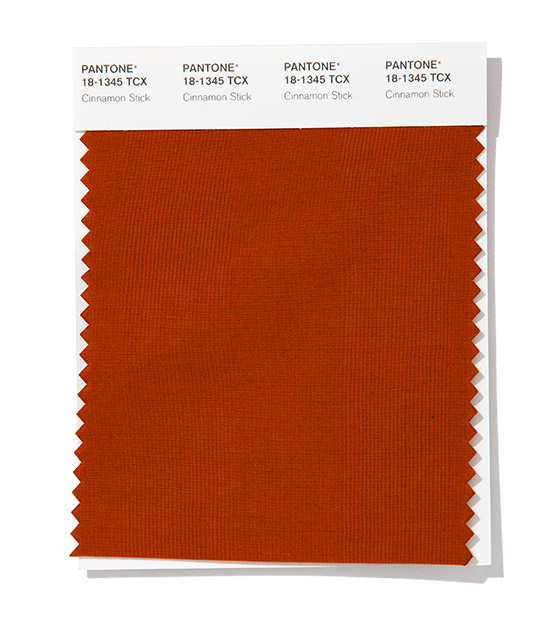 1574991201566065769.jpg Pantone-Fashion-Color-Trend-Report-New-York-Spring-Summer-2020-Cinnamon-Stick.jpg