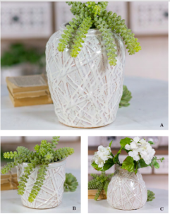 1575008243319028438.png image.png