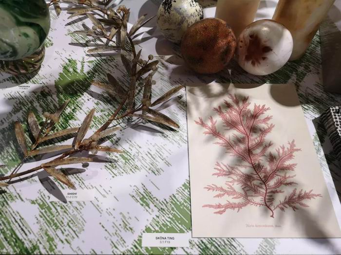 1581781881884055354.jpg 1580806041139033902.jpg