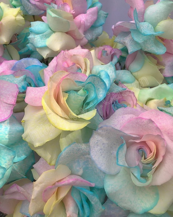 1586228699463096822.jpg 微信图片_20200407085826_缩小大小.jpg