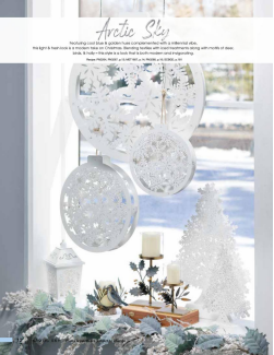 1587612816794095255.png image.png