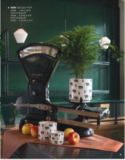 1587612984123072424.png image.png