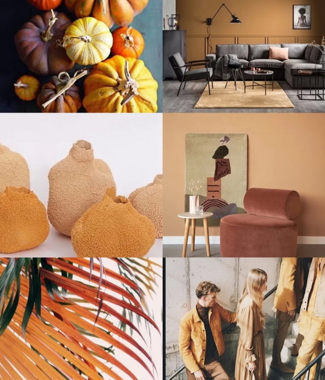 1590226403100015270.jpg 640.webp.jpg